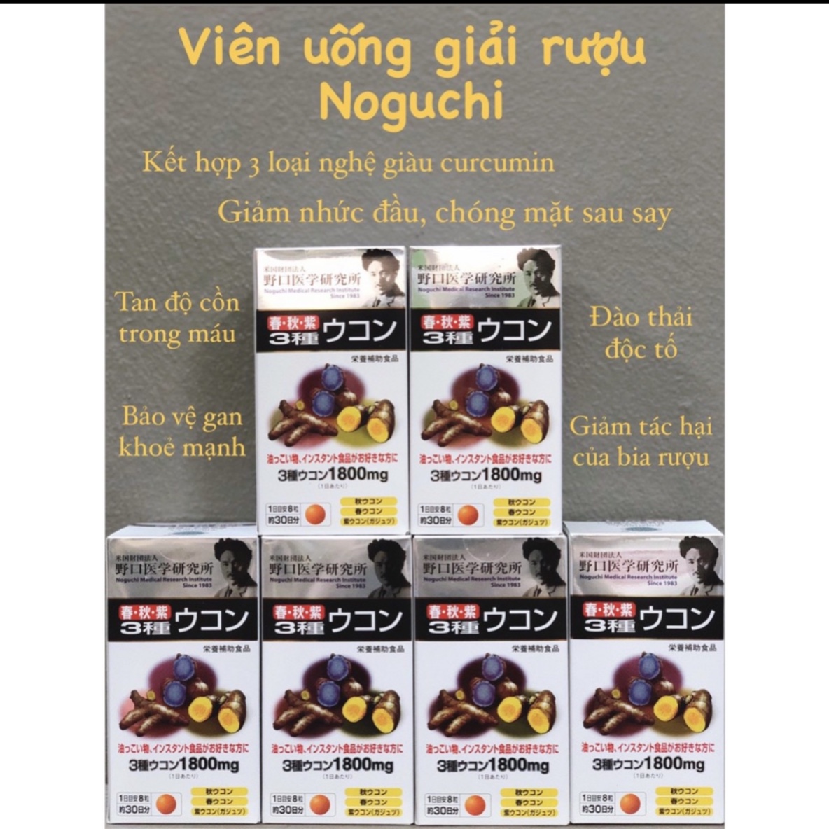BỔ GAN(Viên nghệ NOGUCHI 240)