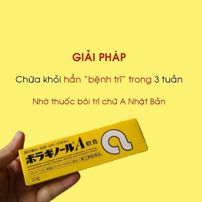 Kem bôi trĩ 20g - Nhật